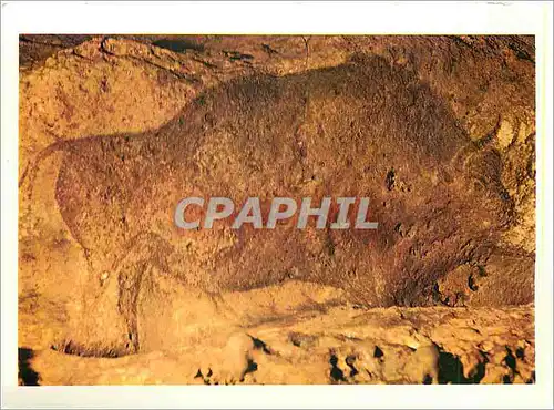 Cartes postales moderne Grotte de Font de Gaume en Perigord