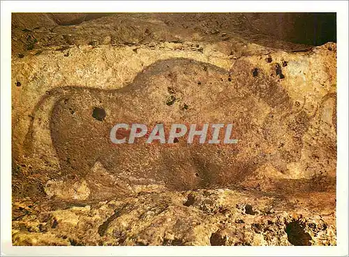 Cartes postales moderne Grotte de Font de Gaume en Perigord