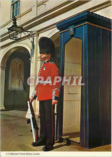 Cartes postales moderne A Coldstream Guard Sentry on duty at St James Palace London