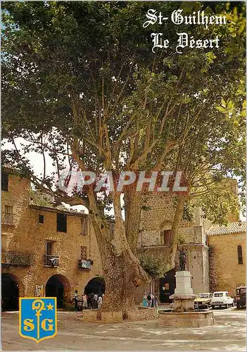 Cartes postales moderne St Guilhem Le Desert