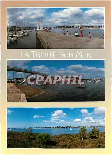 Cartes postales moderne La Trinite sur Mer