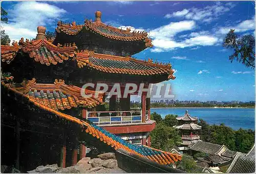 Cartes postales moderne Chine China Chameau