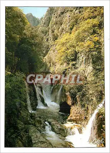 Cartes postales moderne Amelie les Bains Pyrenees Orientales Les Gorges du Mondony