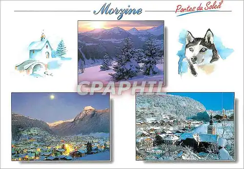 Cartes postales moderne Morzine Portes du Soleil Chien Husky