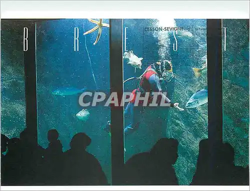 Moderne Karte Brest Oceanopolis Le grand centre de Culture Scientifique