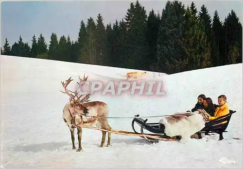Moderne Karte Les Rousses Jura La Vallee des Rennes