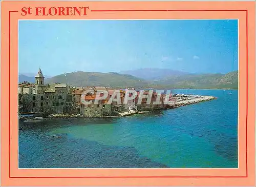 Cartes postales moderne Charmes et Couleurs de la Corse Saint Florent Vue panoramique