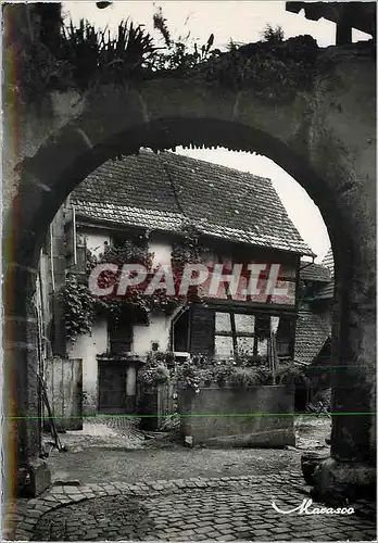 Cartes postales moderne Riquewhir Alsace La Cour des Juifs