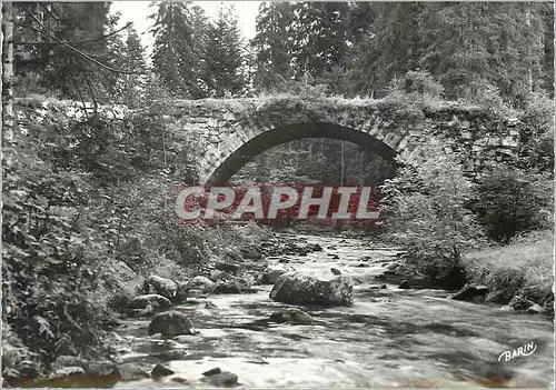 Cartes postales moderne Gerardmer Le Pont des Fees sur la Vologne