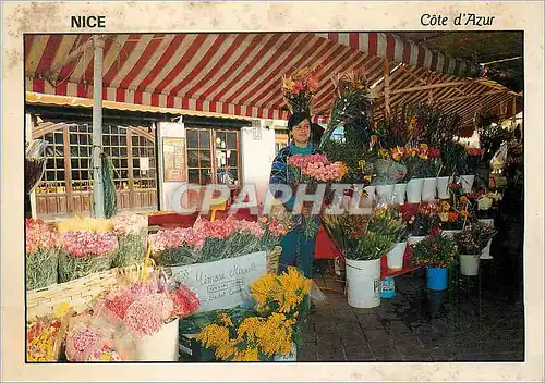 Cartes postales moderne Nice Cote d'Azur