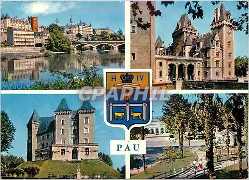 Cartes postales moderne Souvenir de Pau Le Chateau et le Gave
