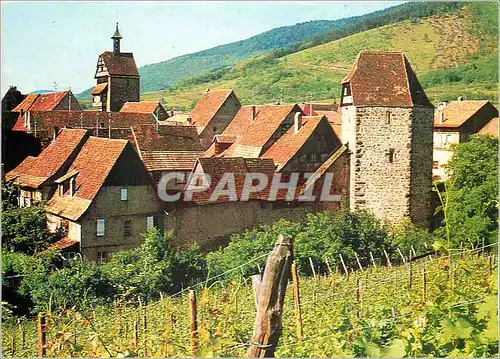 Cartes postales moderne Riquewihr Haut Rhin Vue generale