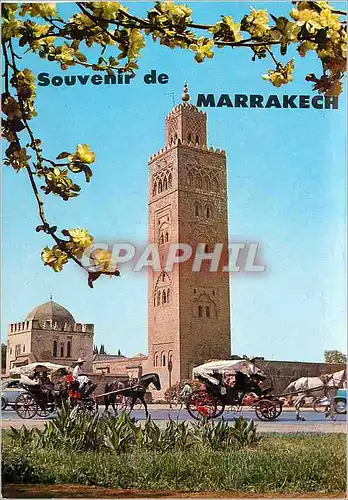 Cartes postales moderne Souvenir de Marrakech