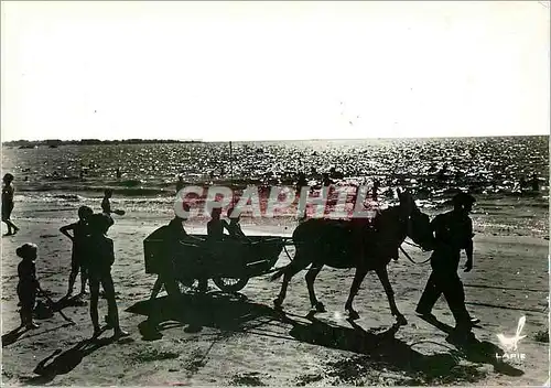 Cartes postales moderne Loire Atlantique Silhouettes de Plage Ane Mule