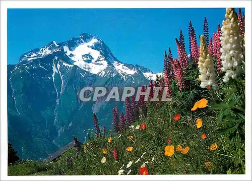 Cartes postales moderne Soleil et Montagne La Muzelle