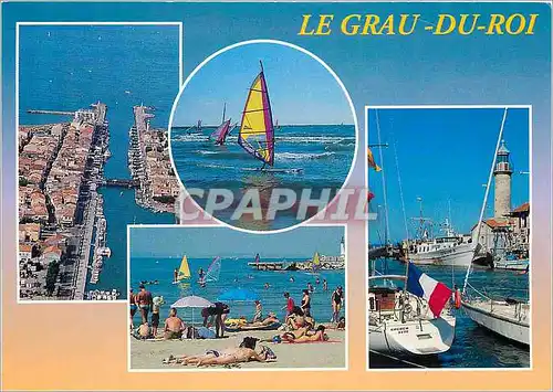 Cartes postales moderne Le Grau du Roi