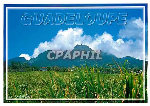 Cartes postales moderne Guadeloupe