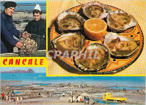 Cartes postales moderne Cancale ses Huitres