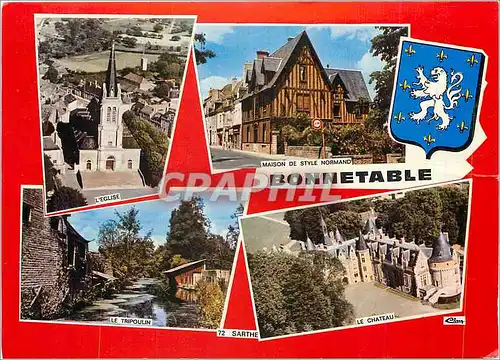 Cartes postales moderne Bonnetable Sarthe Lion L'eglise Maison de style normand Le ch�teau Le Tripolin