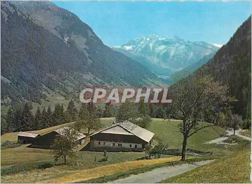 Cartes postales moderne Morzine Haute Savoie Les Terres Maudites Les Dents Blanches