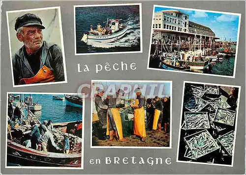 Cartes postales moderne La penche en Bretagne