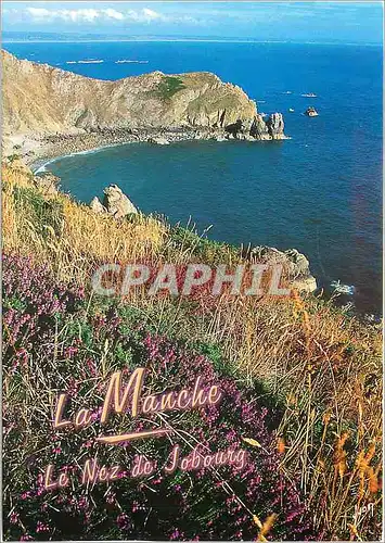 Cartes postales moderne Le Nez de Jobourg Manche