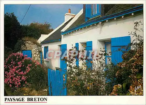 Cartes postales moderne Paysage Breton Maison bretonne aux murs blancs et aux volets bleus