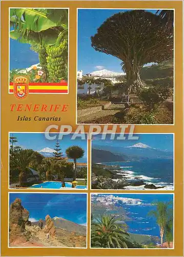 Cartes postales moderne Tenerite Islas Canarias