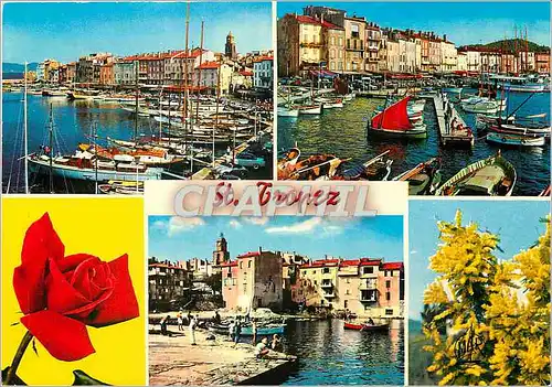 Cartes postales moderne La Cote d'Azur Saint Tropez Var Le Port Vieux port des Pecheurs