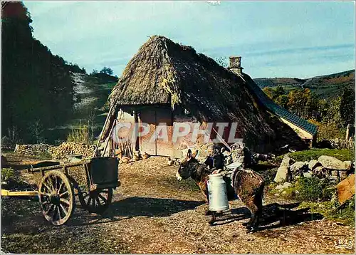 Cartes postales moderne En Auvergne Vieux buron au toit de chaume Ane Mule Folklore