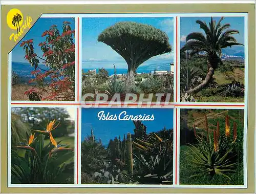 Cartes postales moderne Islas Canarias Tenefire