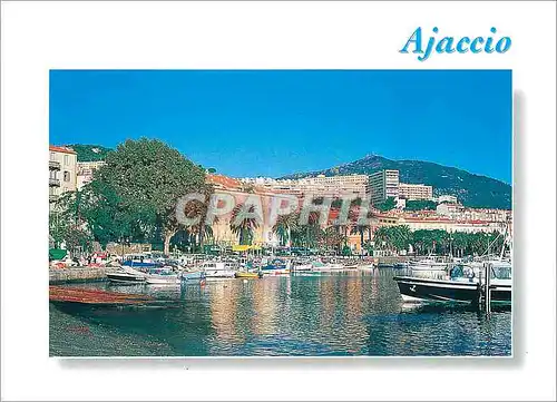 Cartes postales moderne Corse Ajaccio Le petit port