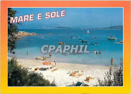 Cartes postales moderne Souvenir de Corse Porticcio La Plage de Mare e Sole