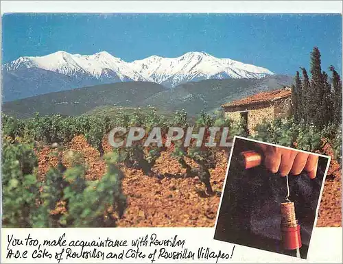 Cartes postales moderne Mount Canigou Roussillon France