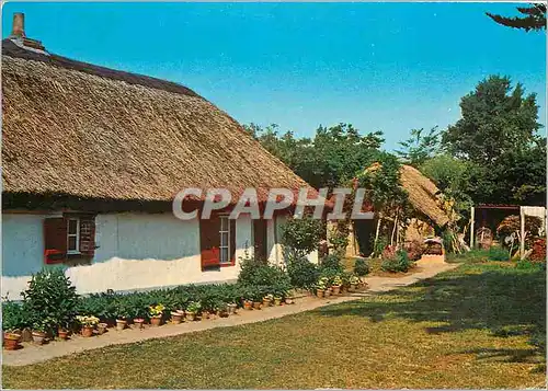 Cartes postales moderne Bourrine Vendeenne