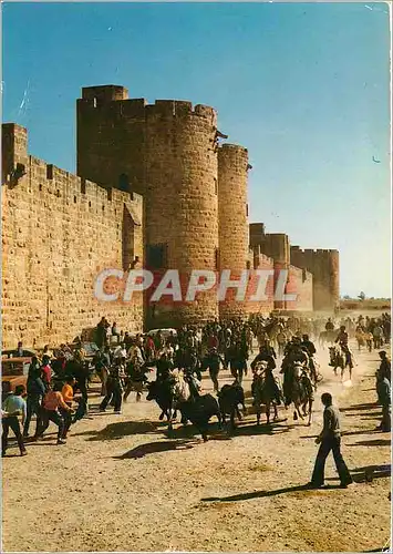 Cartes postales moderne Aigues Mortes La Ville de Saint Louis Une Abrivade le long des Remparts