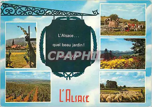 Cartes postales moderne L'Alsace