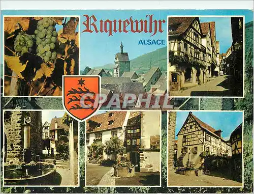 Cartes postales moderne Riquewihr Alsace