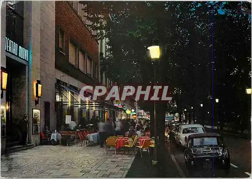 Cartes postales moderne Salsomaggiore Terme Viale Romagnosi Notturno