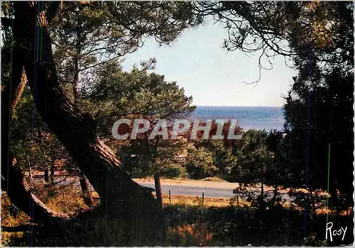 Cartes postales moderne Saint Brevin Vue sur la mer prise de la Foret de pins