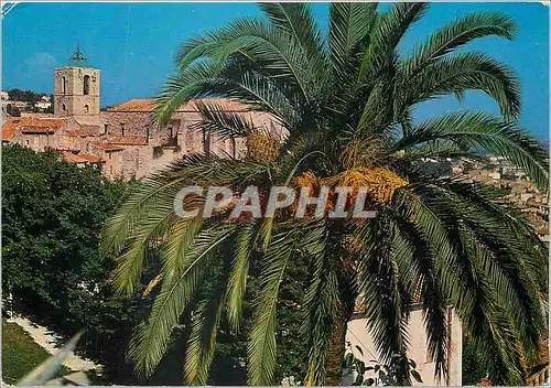 Cartes postales moderne Cote Varoise Hyeres les Palmiers L'Eglise Saint Paul ancienne collegiale