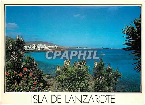 Cartes postales moderne Isla de Lanzarote