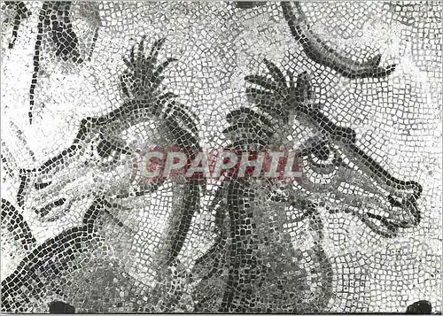 Cartes postales moderne Autun Musee Rolin Les chevaux marins Mosaique romaine trouvee a Autun
