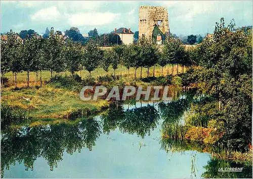 Cartes postales moderne Autun S et L Les rives de l'Arroux Au fond le Temple de Janus
