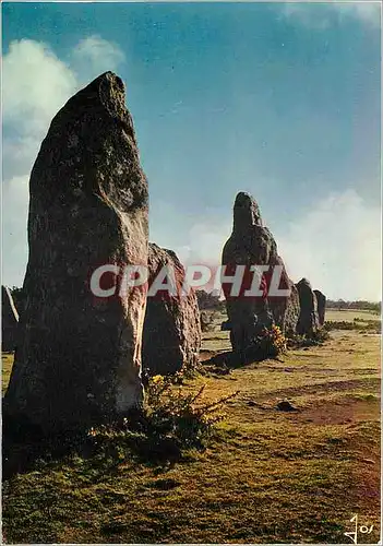 Cartes postales moderne Carnac Morbihan Alignements de Kermario