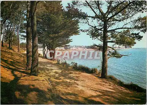 Cartes postales moderne Concarneau Finistere La Plage