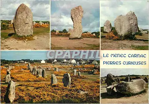 Cartes postales moderne Le Menec Carnac Pierres Curieuses