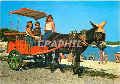 Cartes postales moderne Espana Ane Mule