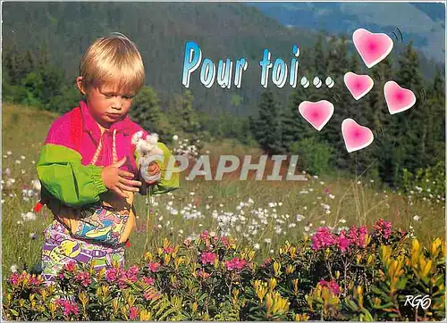 Cartes postales moderne Images de Chez Nous Pour toi