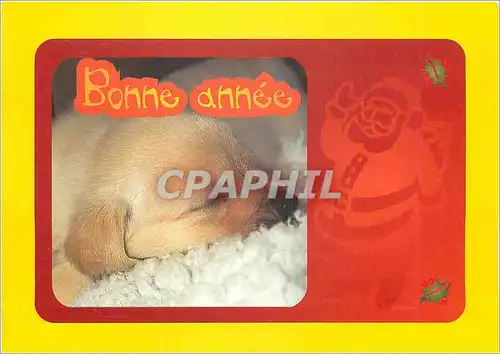 Cartes postales moderne Les Chiens Guides d'Aveugles de l'Ouest La Baumette